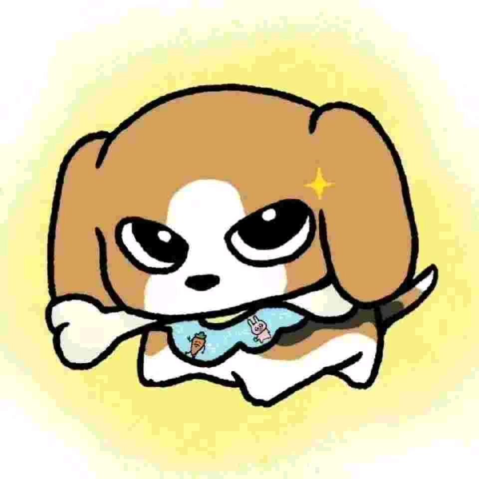 凌晨四点喂鸡