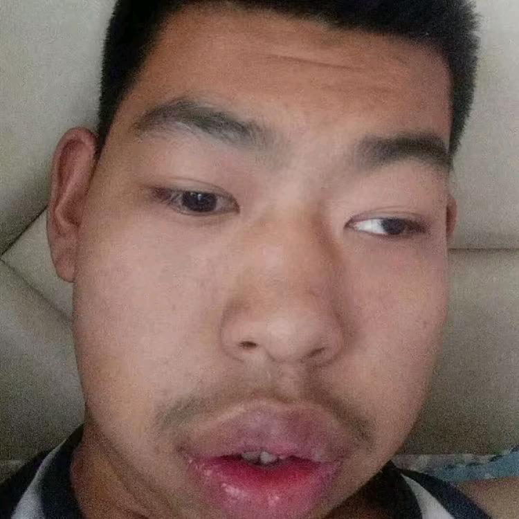 刚果骚骚猴