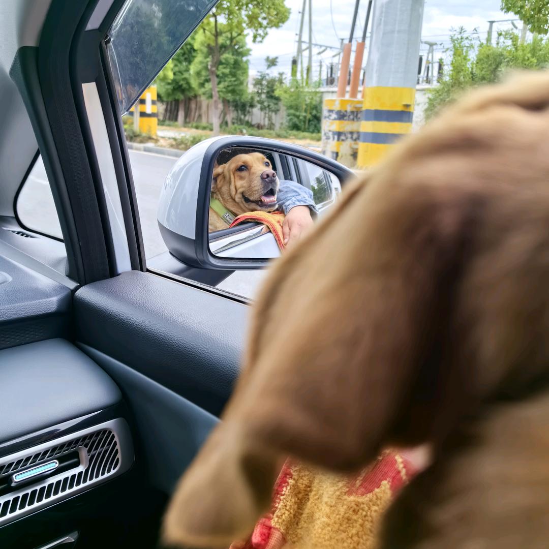 骑摩托的小胖子