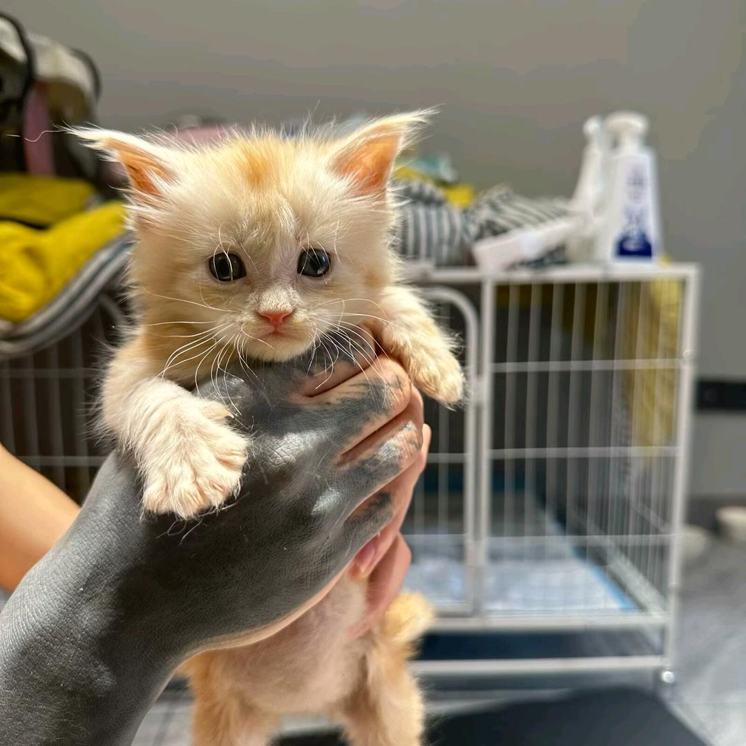 后来遇见⁽⁽ଘ