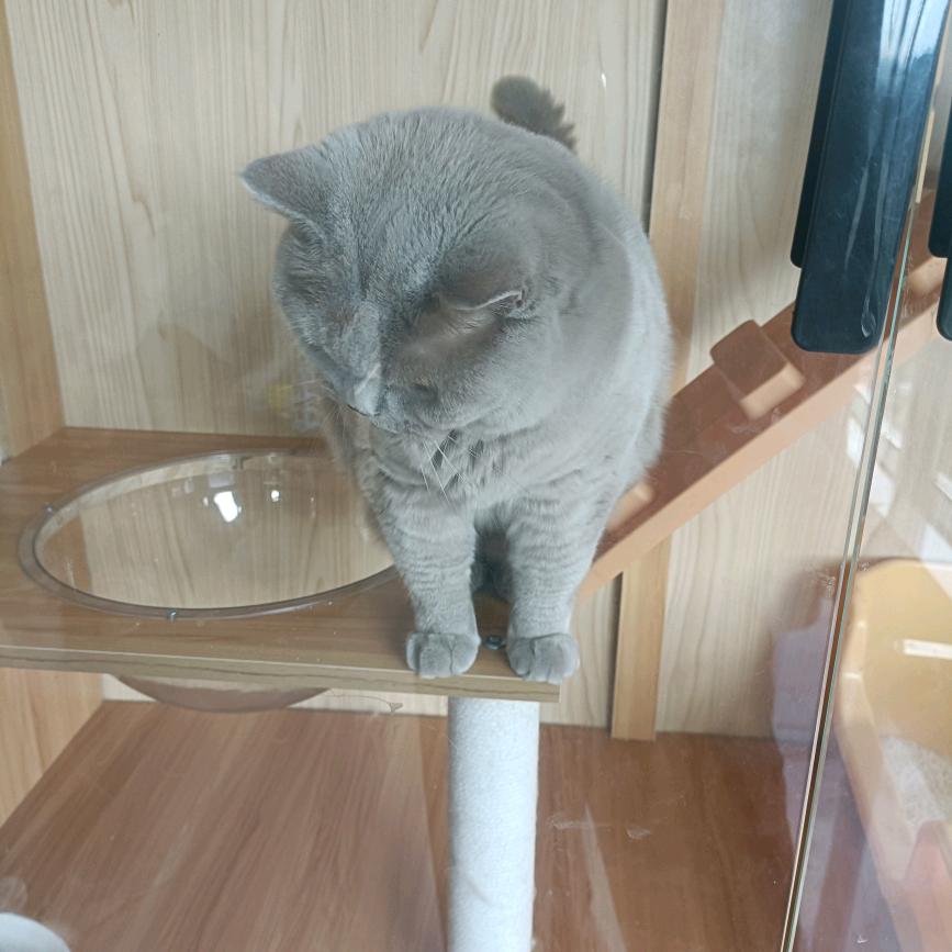 闪✨
