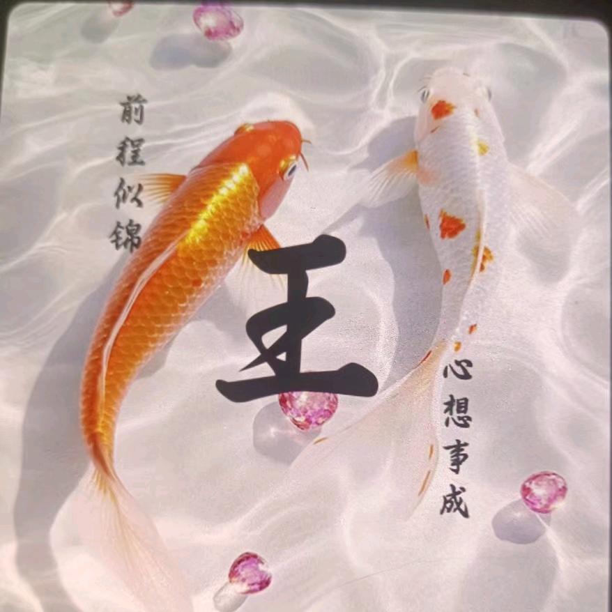 王丽