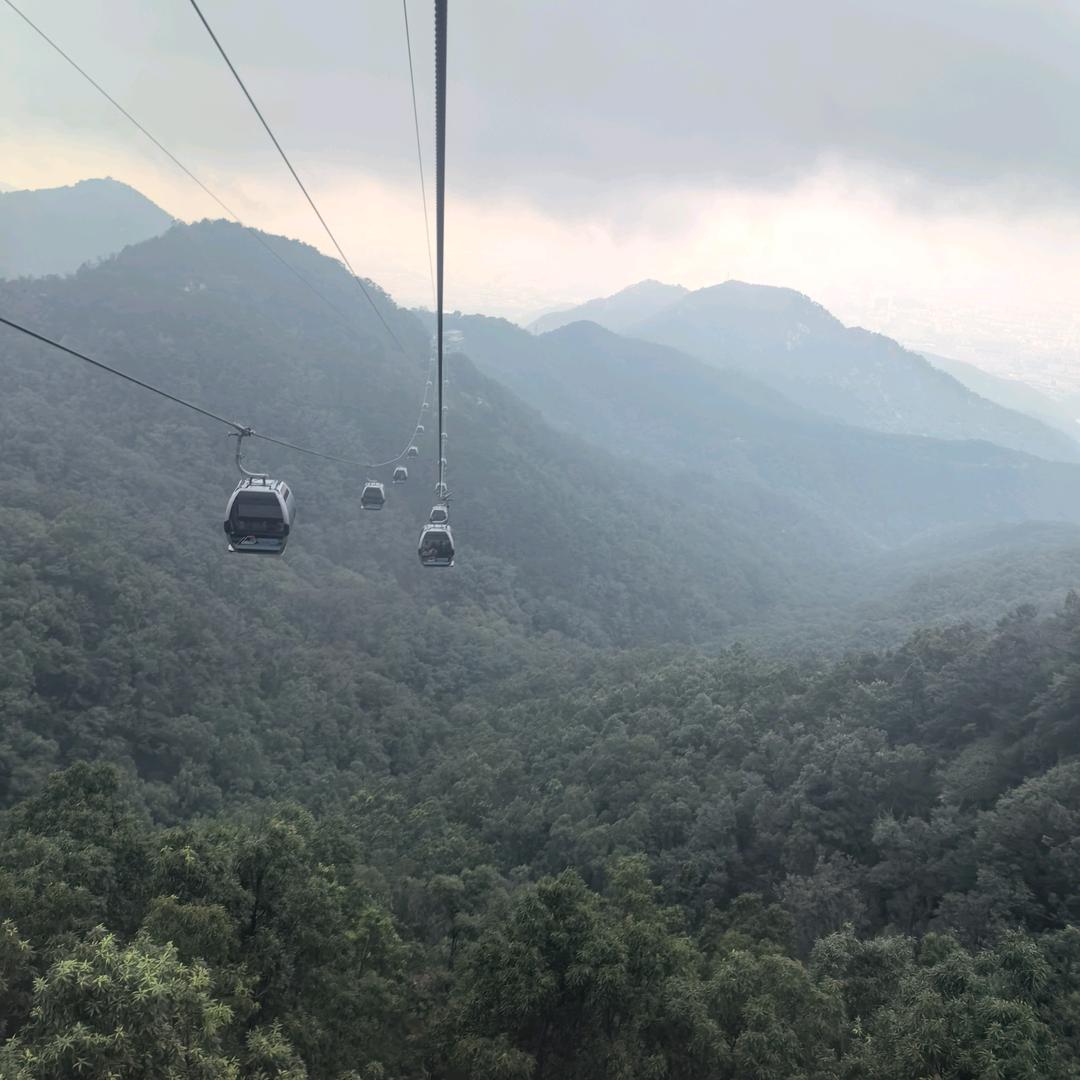 凊靈重启