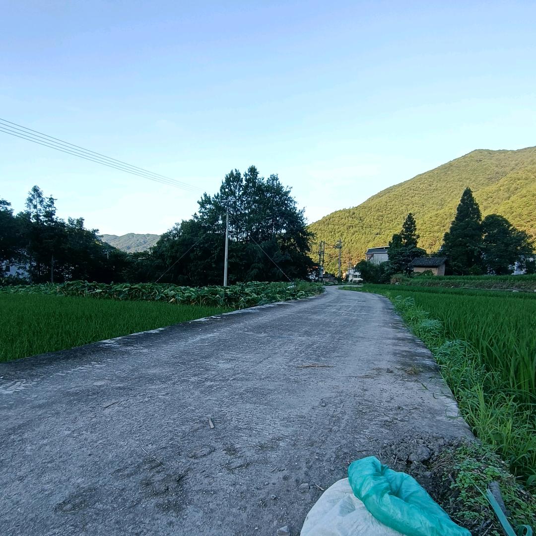 一路向北