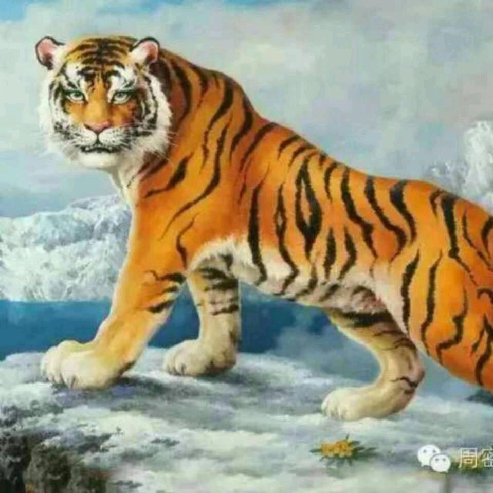 重庆秋哥（杨仁学宏字辈分131）