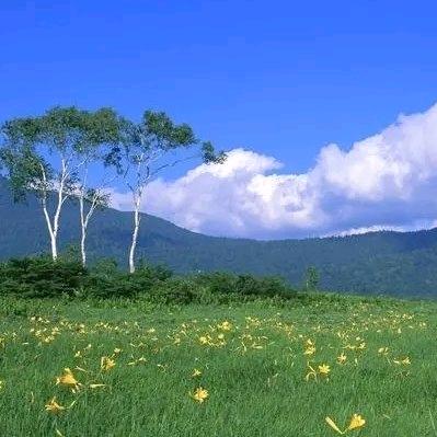 简一