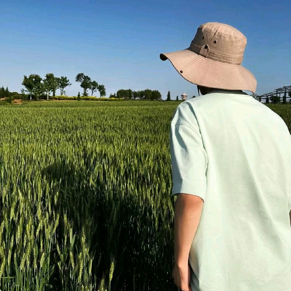 半调子的温柔