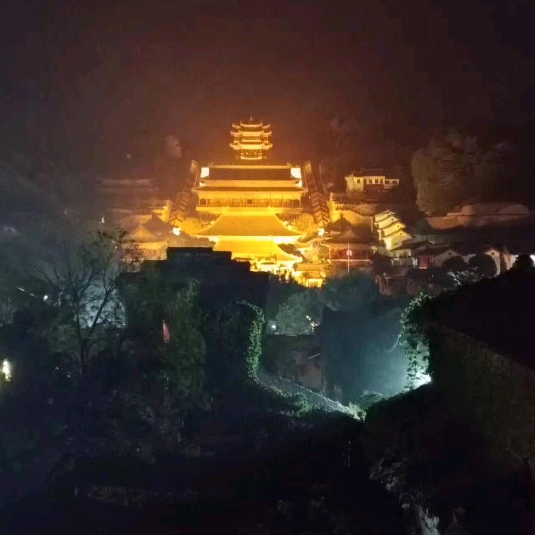 杨YZH