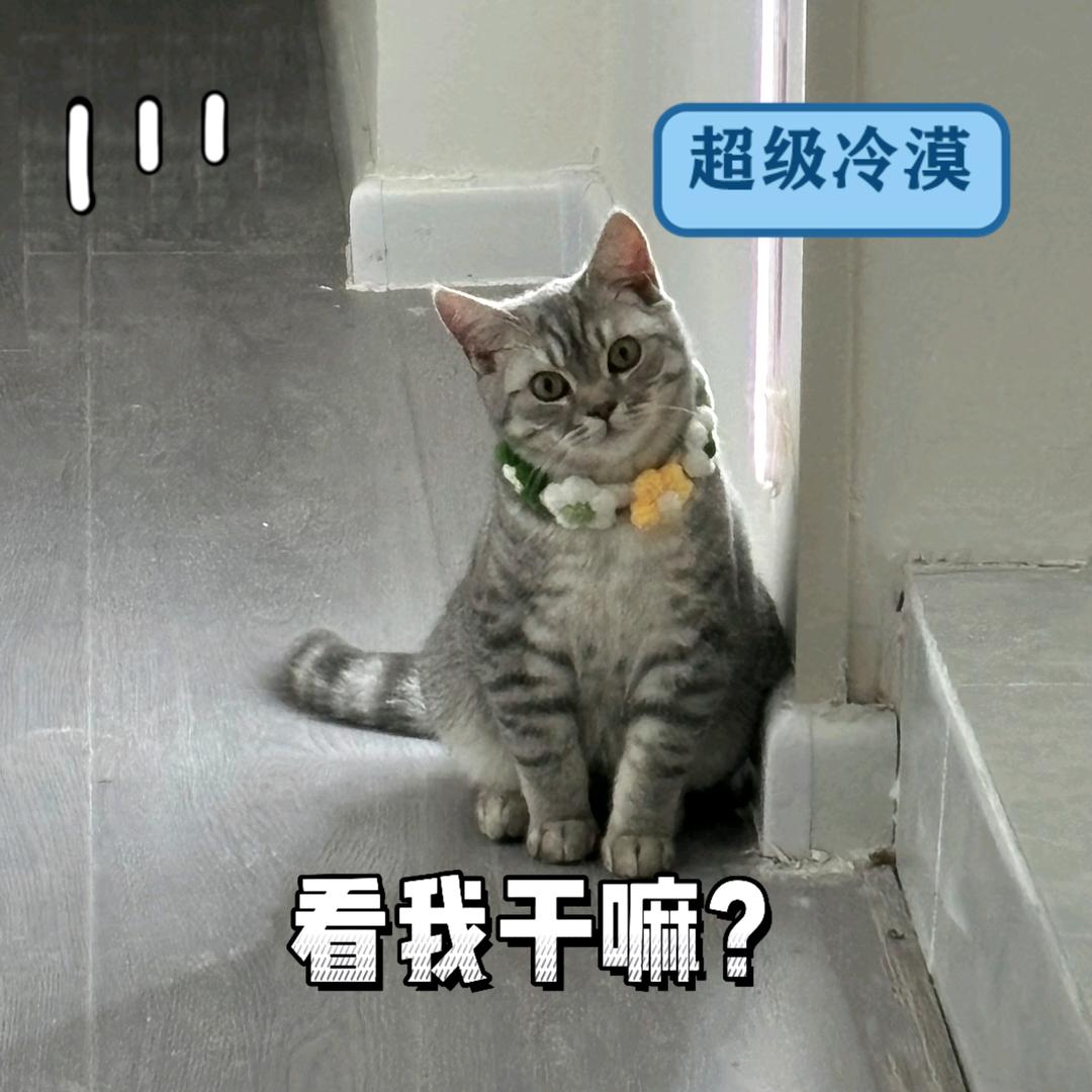 沉淀