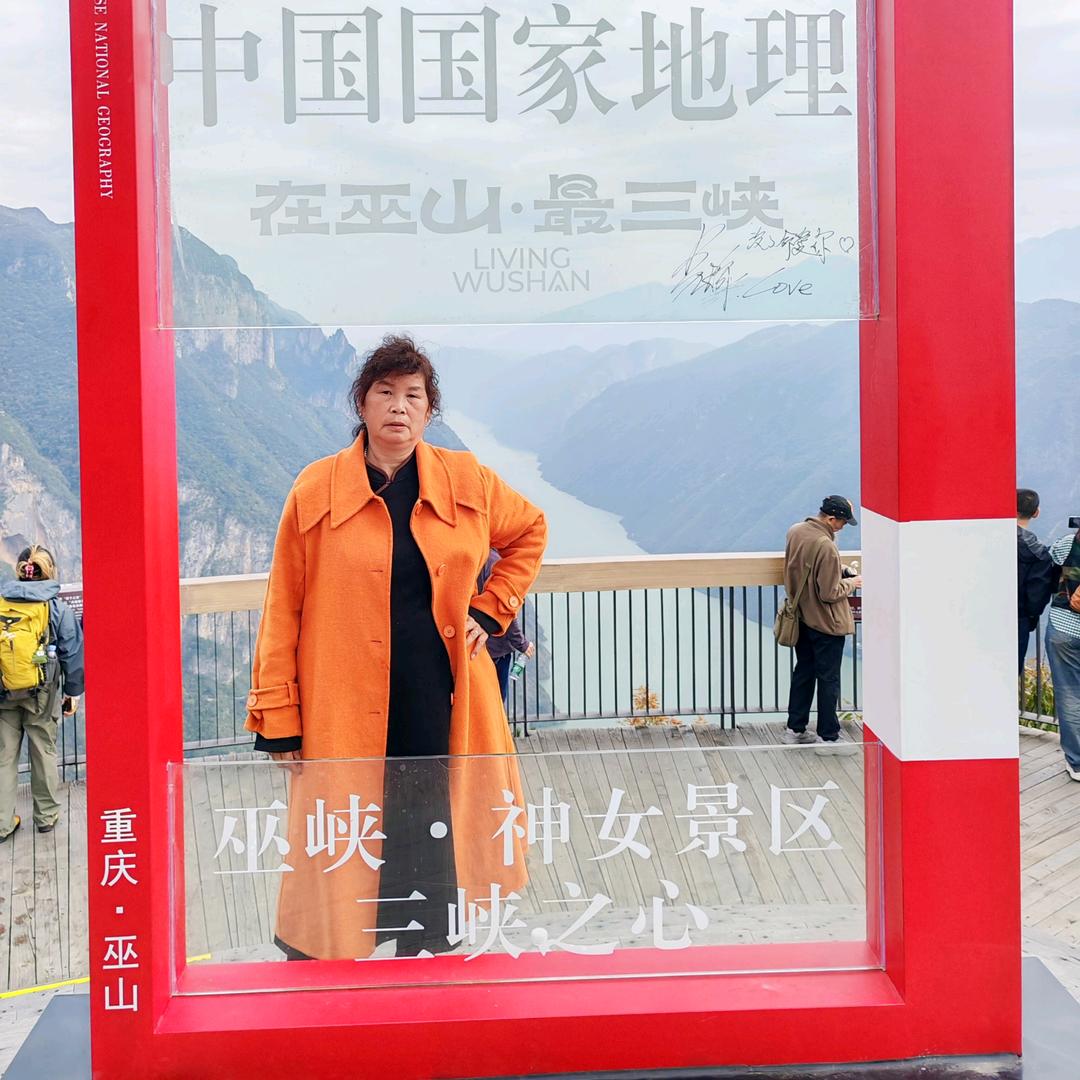 杨姐。