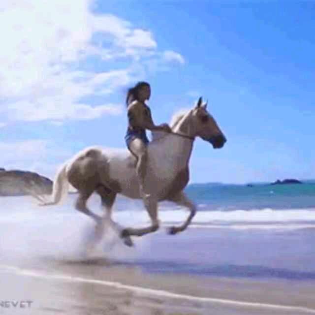 一个人一座城🍀