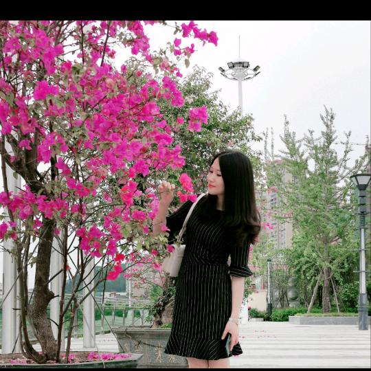 习惯有你