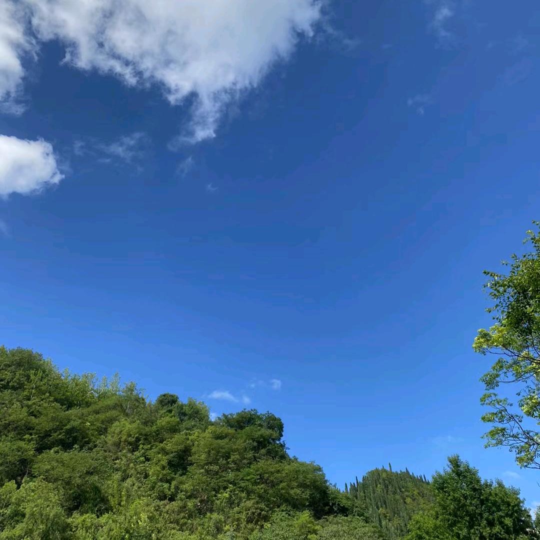 山高水远