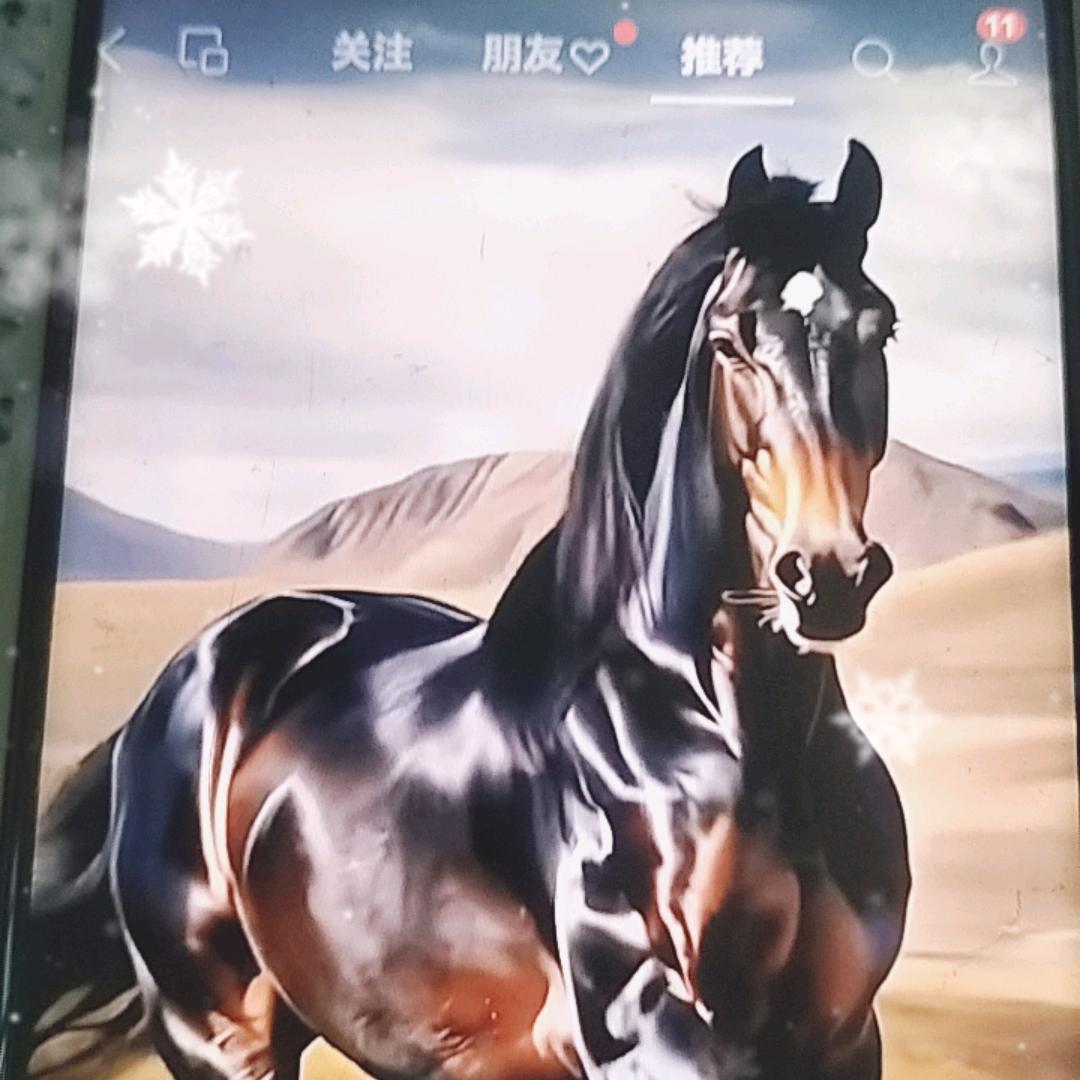 2025马到成功
