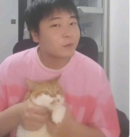 赫宝宝
