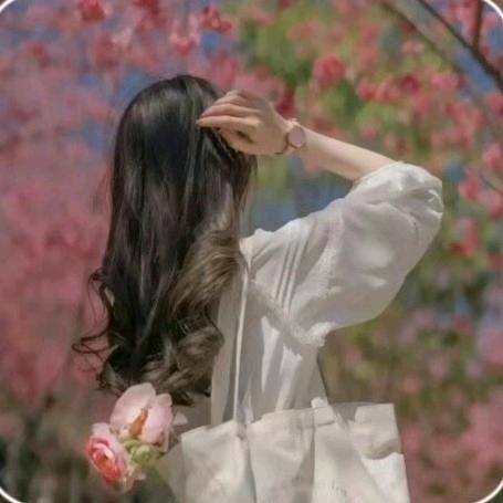 河南妞