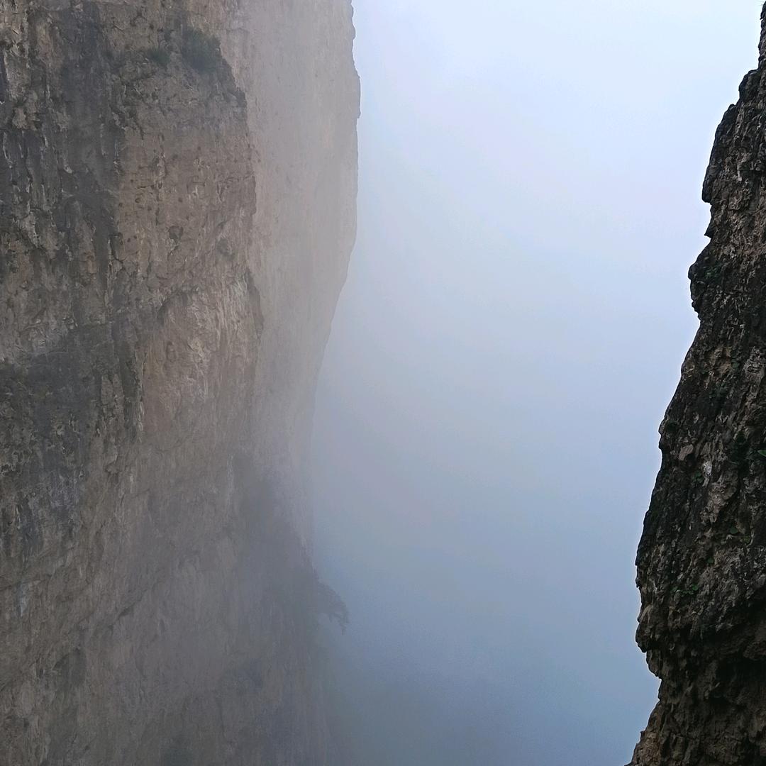 飞飞