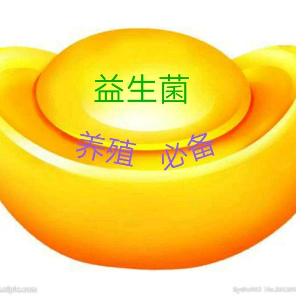 无言
