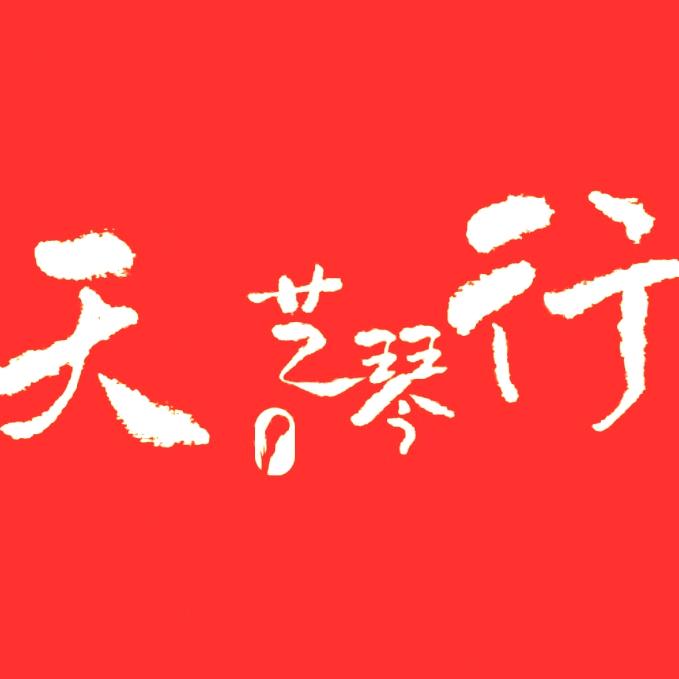 天艺琴行·成人