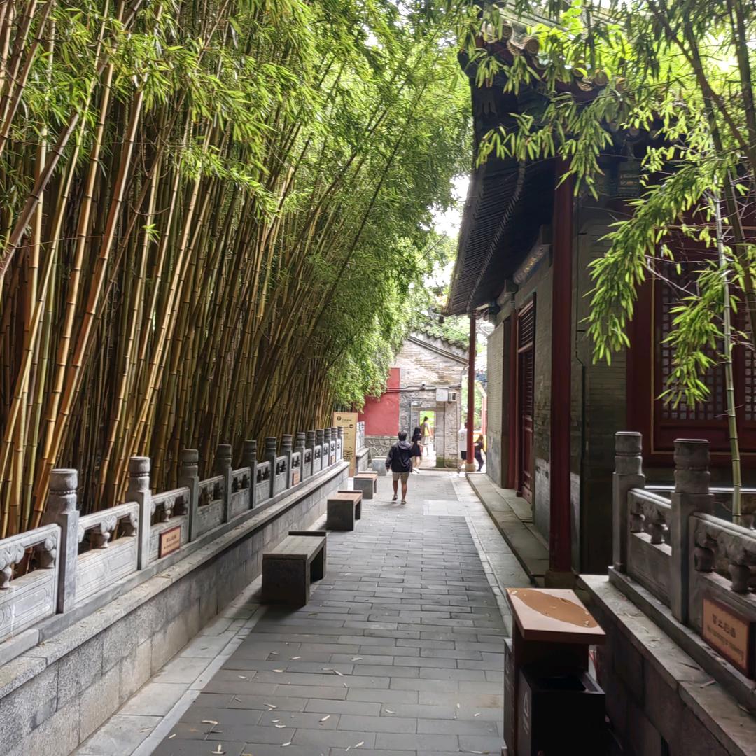 来了一阵子