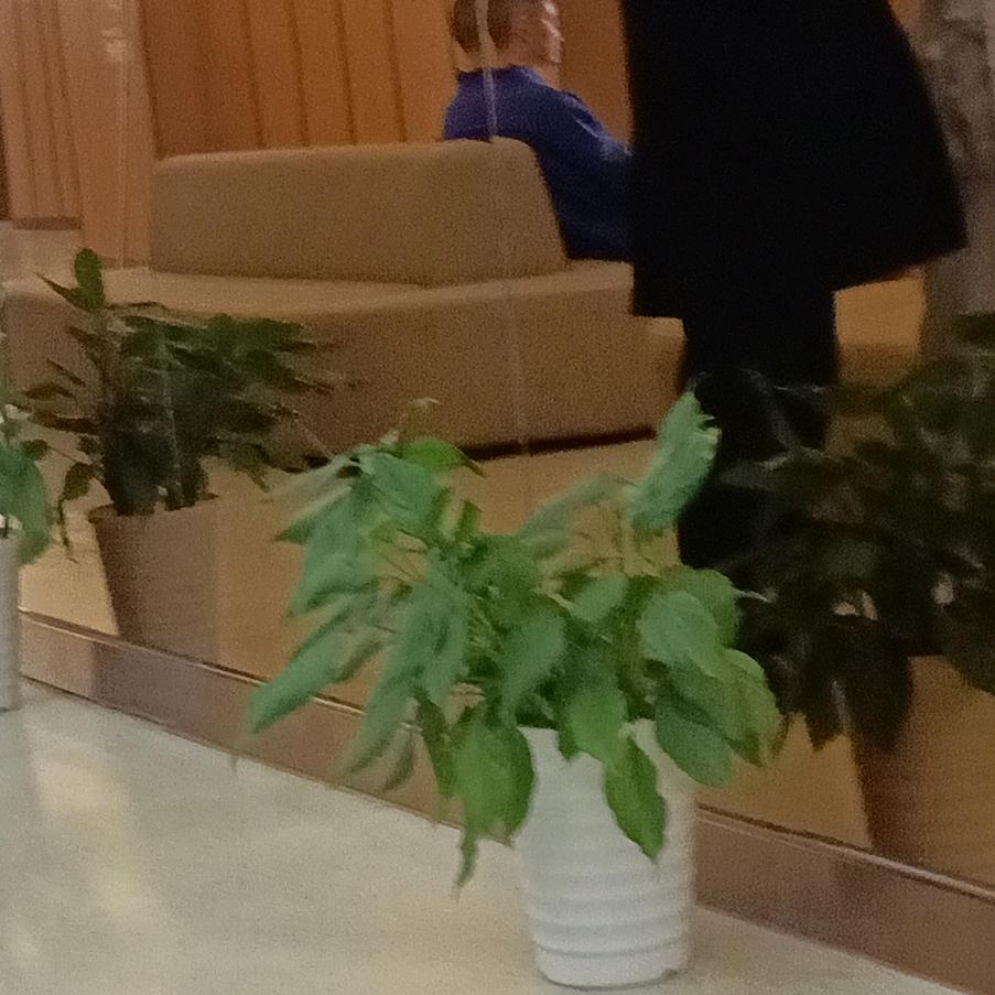 😄😄空城👿👿