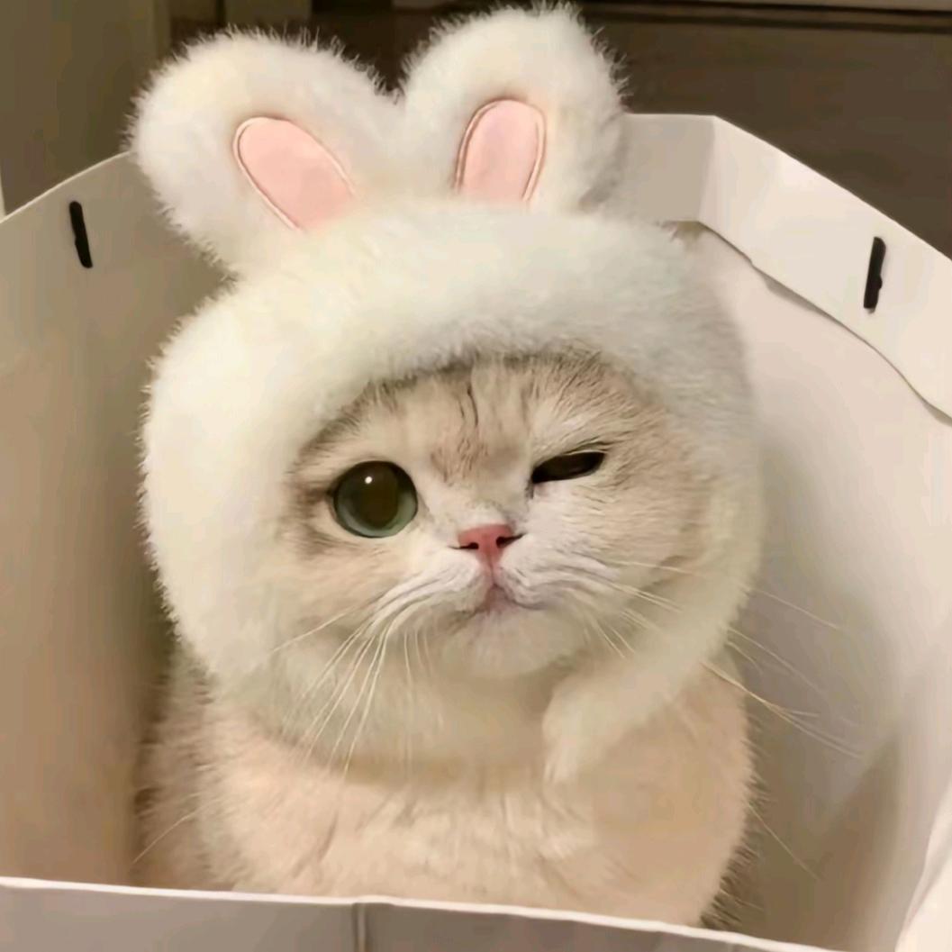 拾嘉教育和以