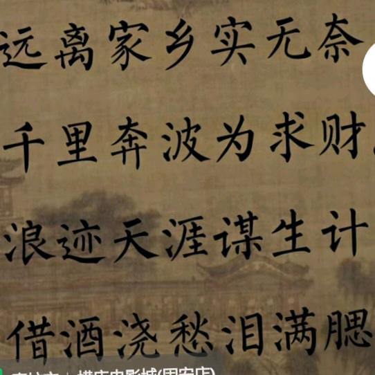 网络迷航者