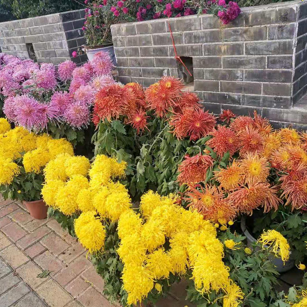 清风明月.
