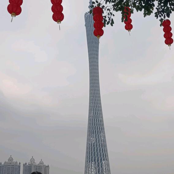 你我他