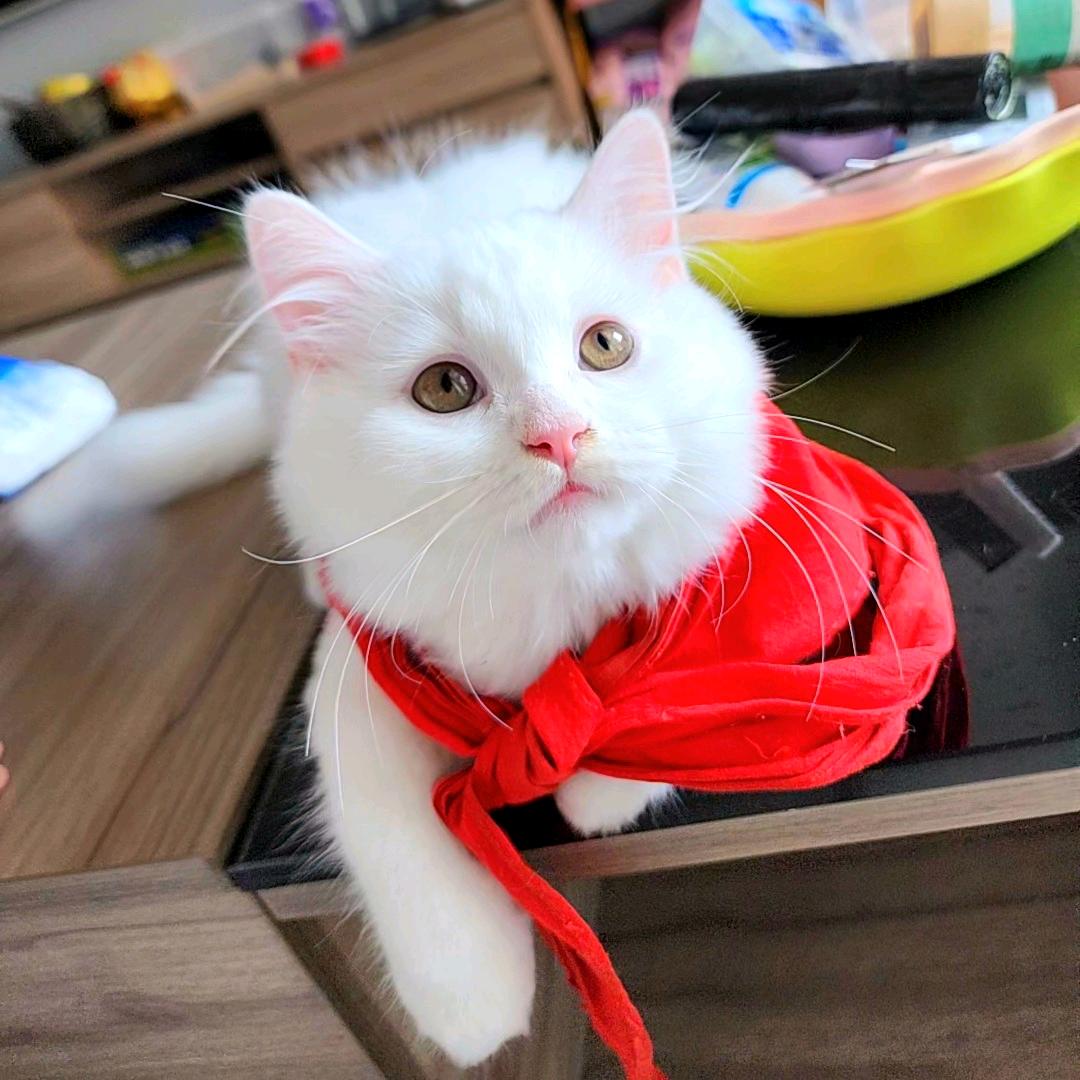 不发脾气只发财