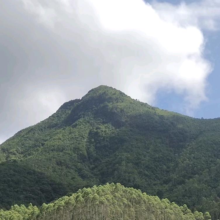 暗夜行者之光