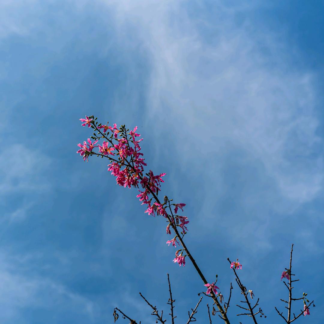 示见📷