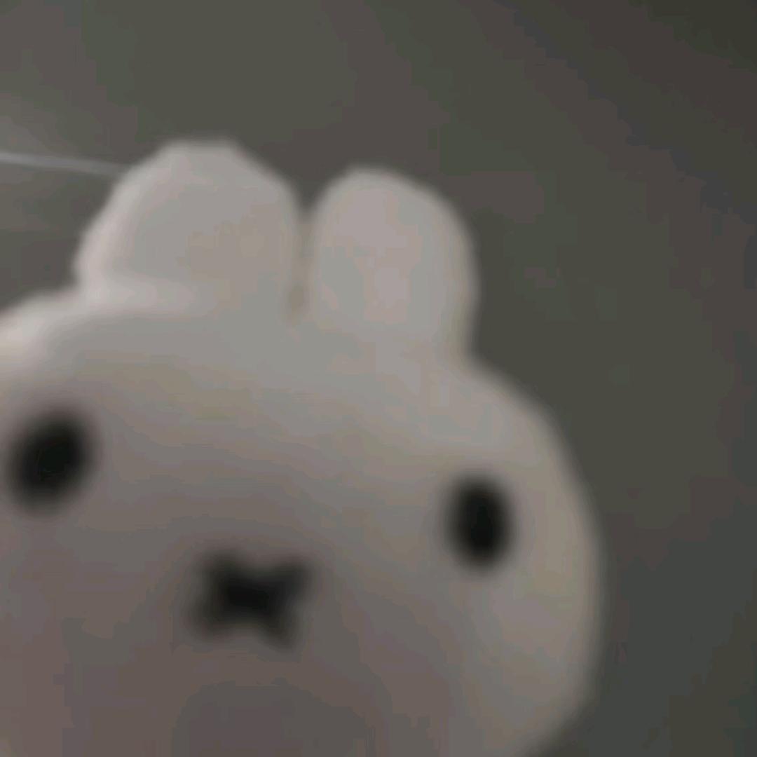 桃子汽水