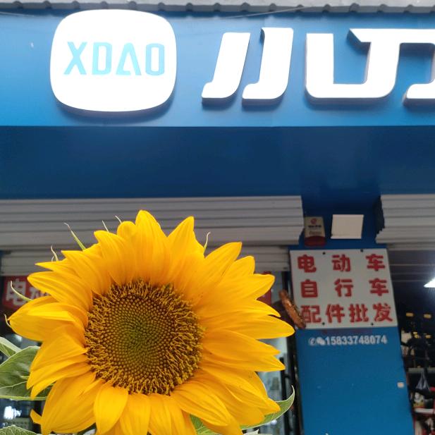 于娟