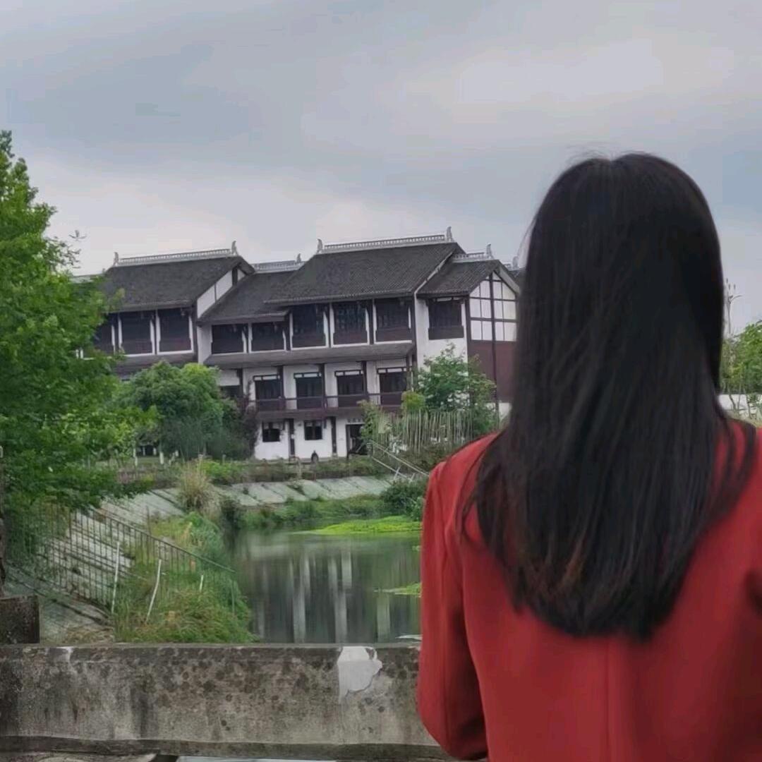 @倔犟兔