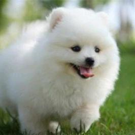 大道至简涂慧晴