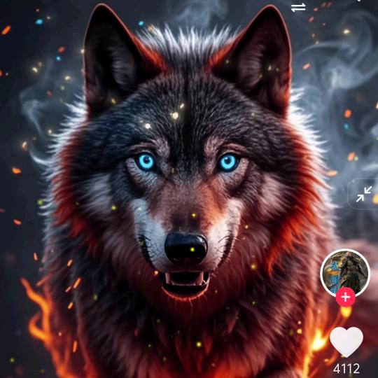 独狼🐺