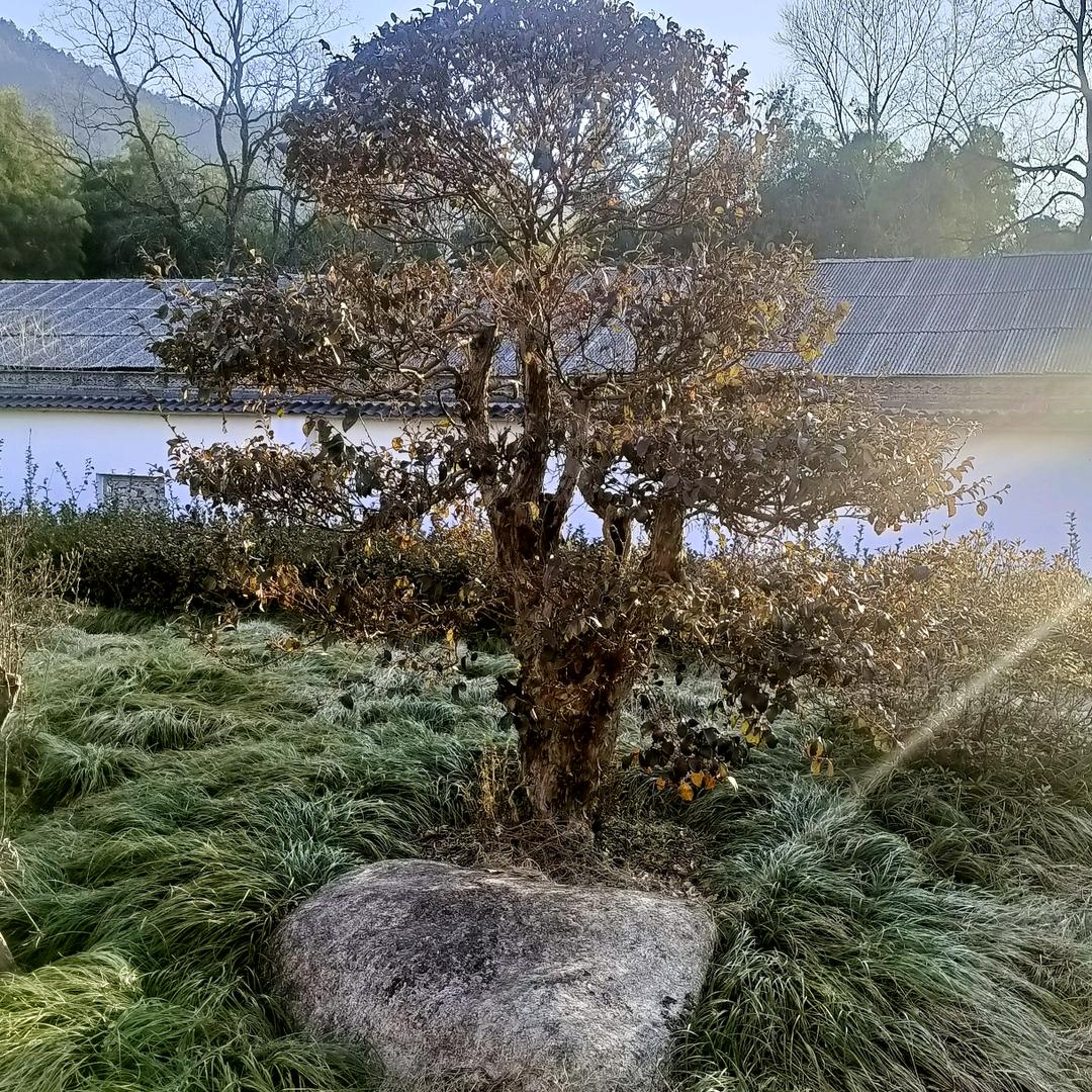 增城运家超市增城直播号