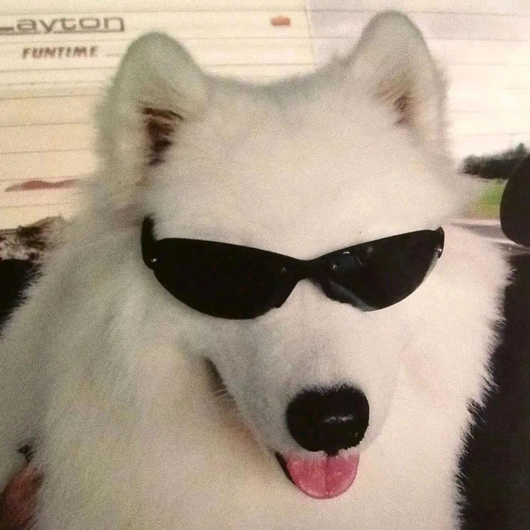 晚画枫           ╲