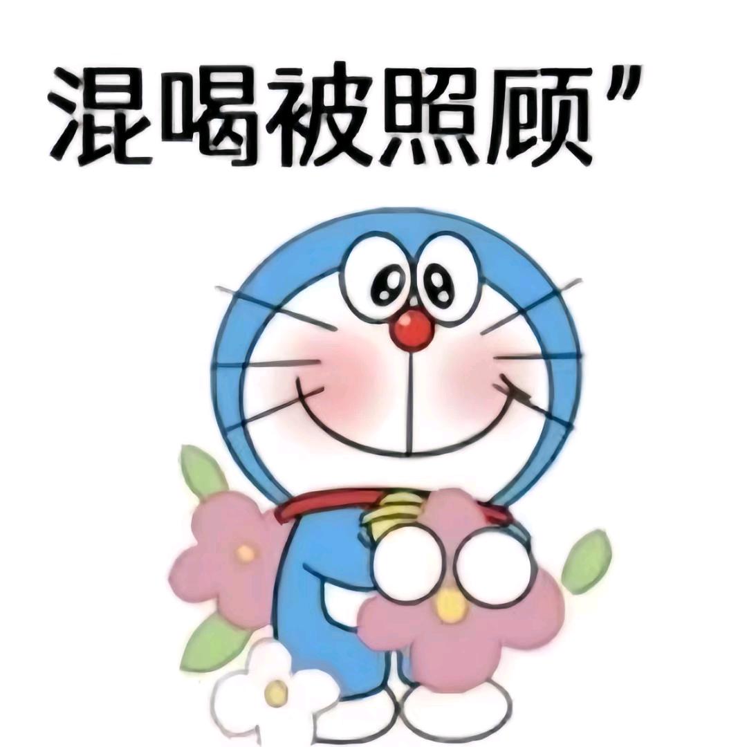 憨憨不敢