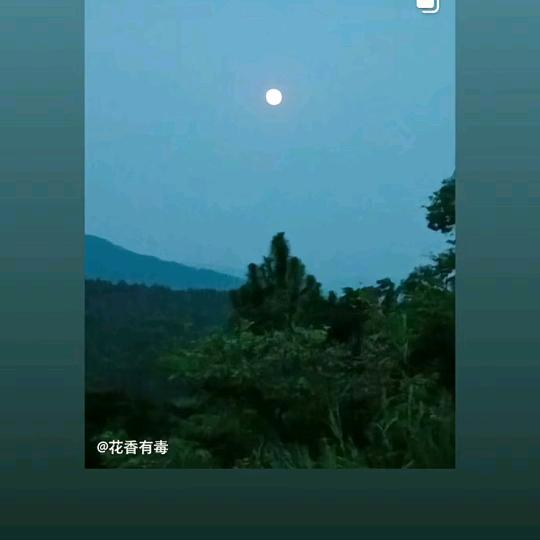 看透人生🌹