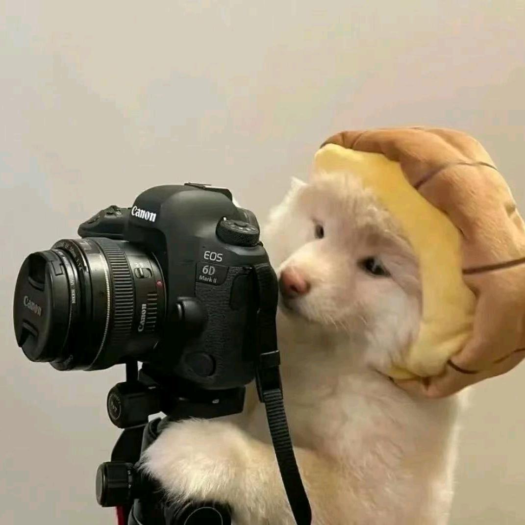 喆
