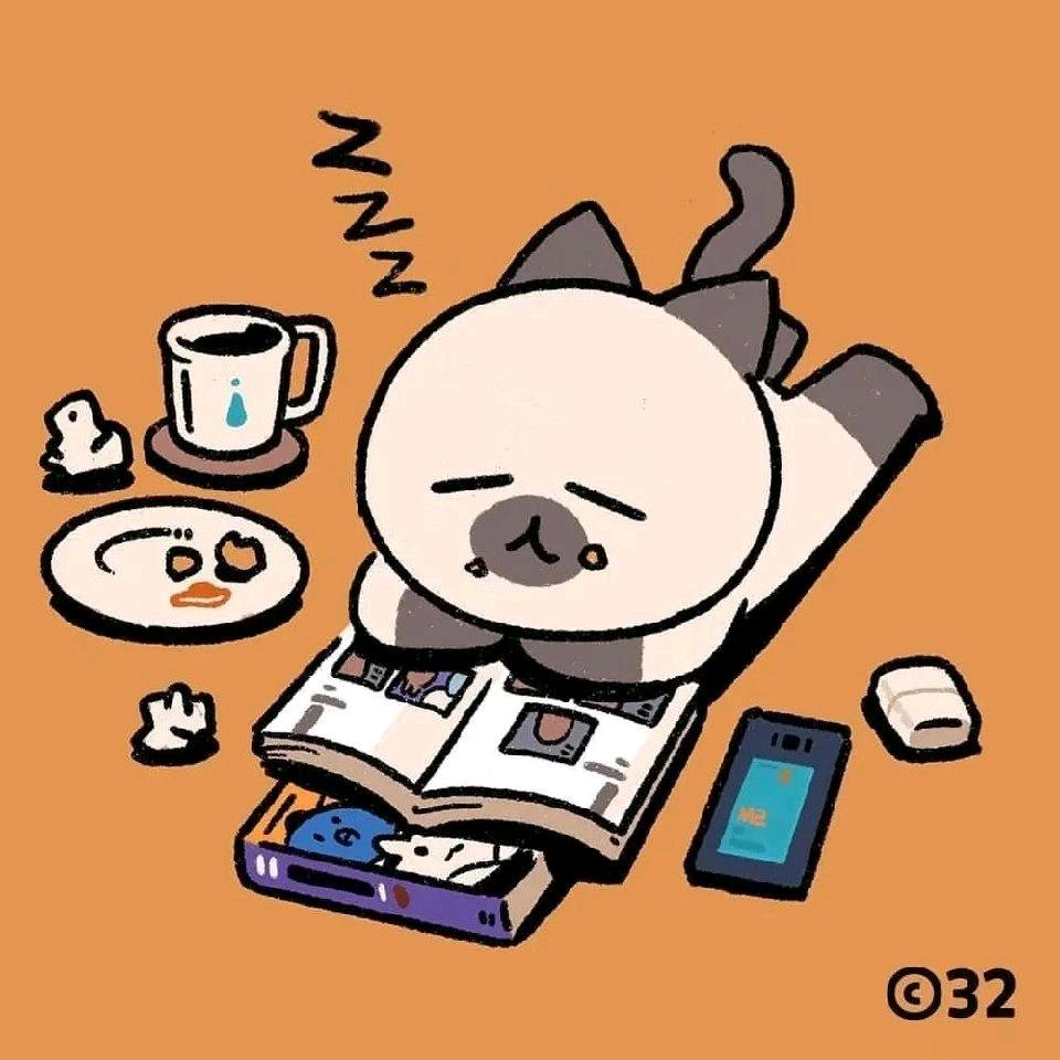 果子狸