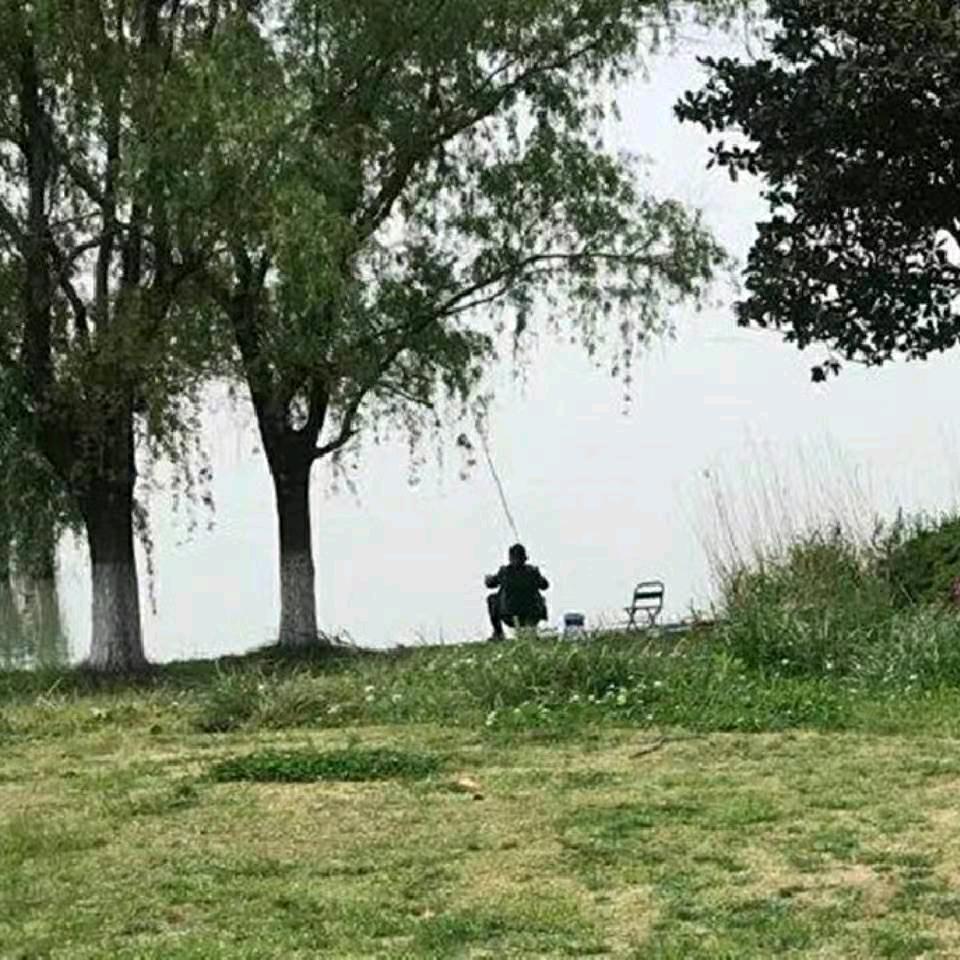 上海正谊源信息咨询有限公司（春风绿岸）