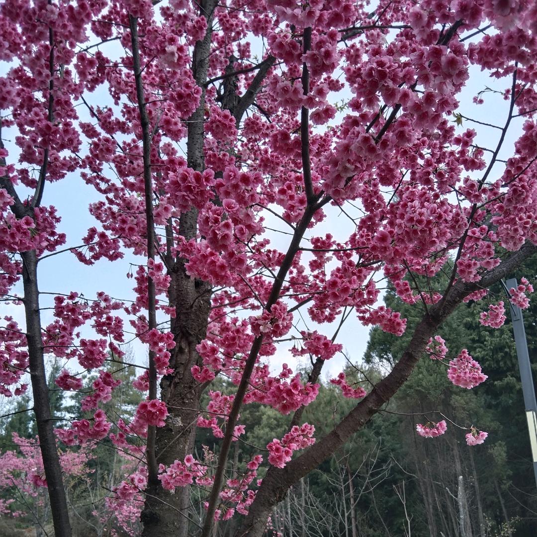 找一个爱我的人🌹爱我的人才配我珍惜🌹