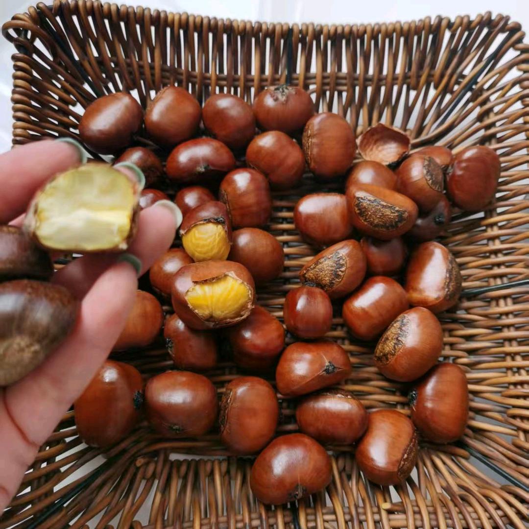 用心做好每一栗🌰