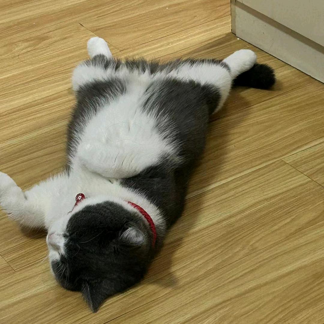 艺沁