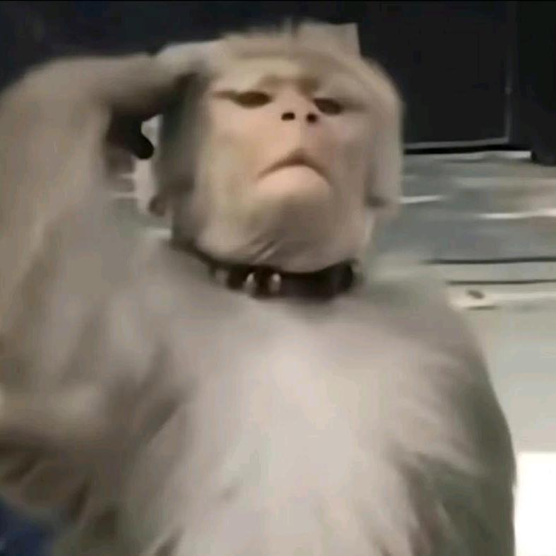 🐒