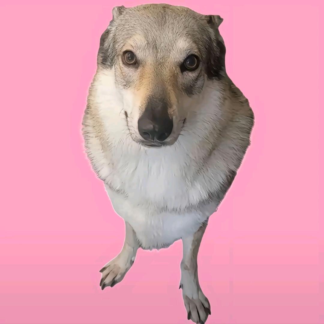 （∞）