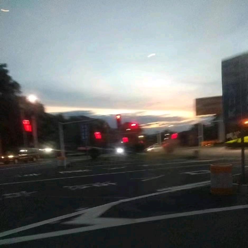 曾经放飞自我的松